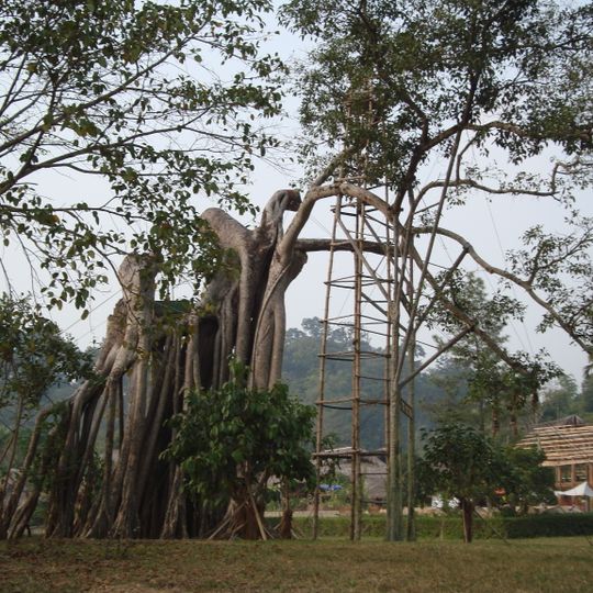 Distretto di Son Duong