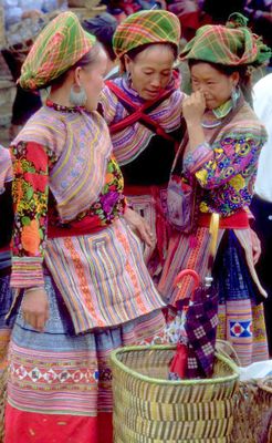 Immagine alternativa