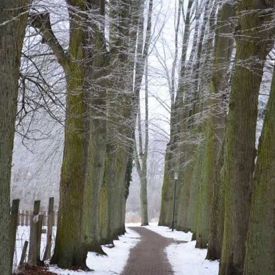 Naturdenkmal Lindenallee Nordpromenade in Gransee