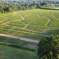 Le Labyrinthe du Petit Prince !