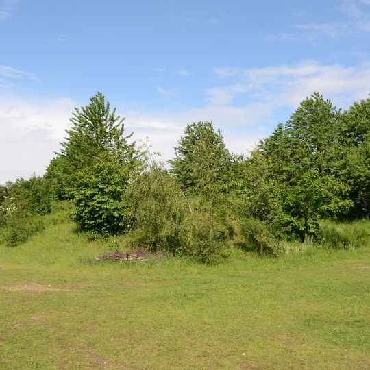 LSG-Sonsbecker Schweiz