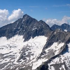 Großer Löffler