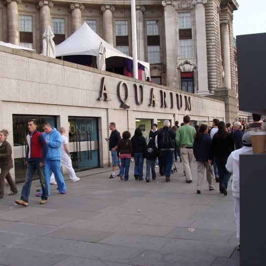 London Aquarium
