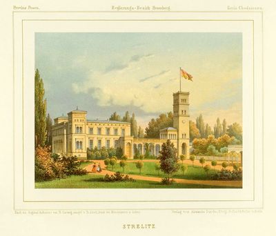 Immagine alternativa