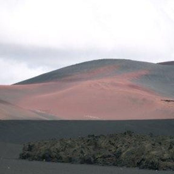 Payunia vulkanfelt