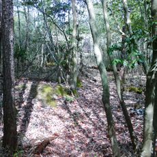 宅原城