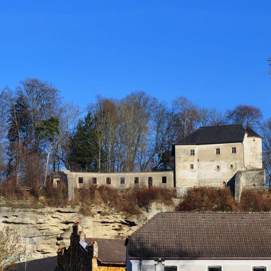 Winterquartier der Mopsfledermaus in Burg Stein