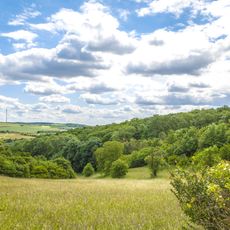 Weyerer Bergheide mit Hangwäldern und Altwasser