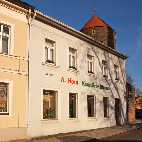 Wohnhaus Hornstraße 35