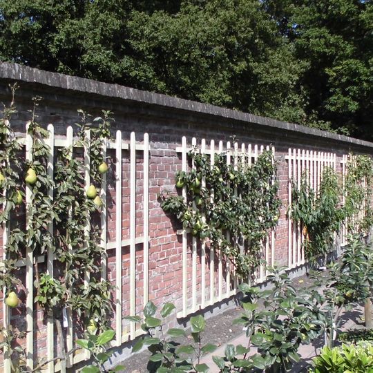 Huis Maarsbergen: tuinmuur