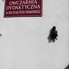 Owczarz