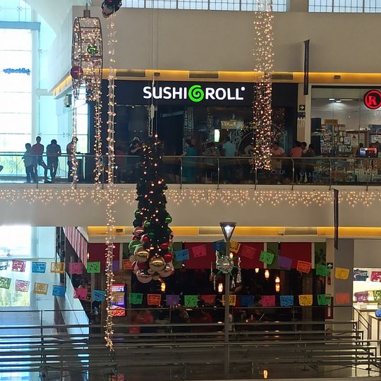 Sushi Roll Restaurante