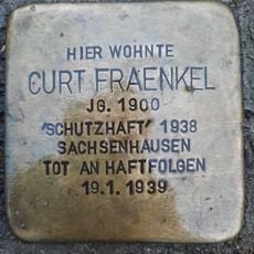 Curt Fraenkel
