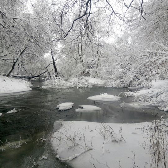 Lis nad Sluchchiu forestry preserve