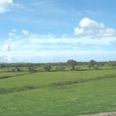 Malltraeth Marsh