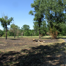 Spreeaue Cottbus-Nord