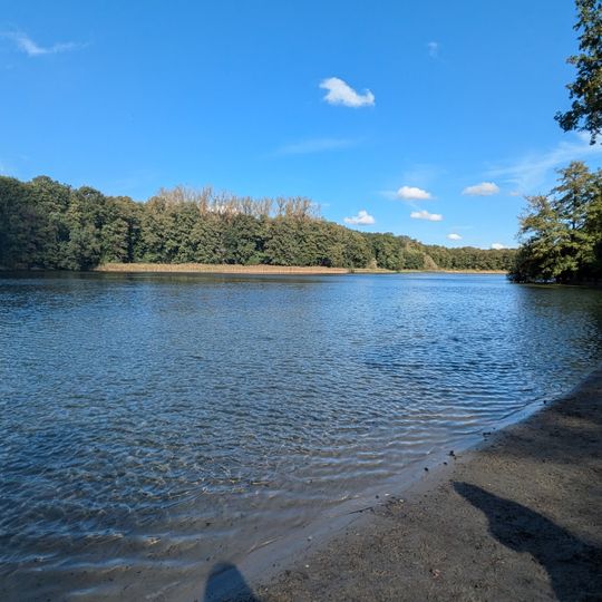 Hundebadestelle Grunewaldsee