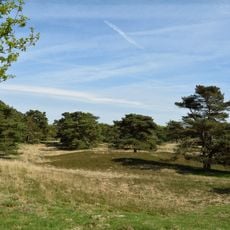 Heiden und Dünen bei Störkathen