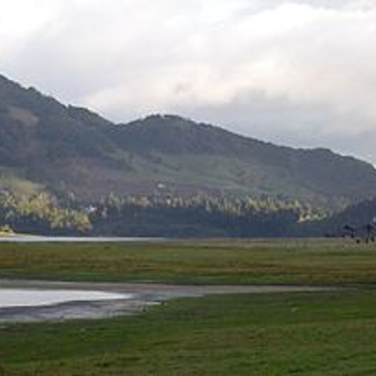 Reserva Forestal Thomas van der Hammen