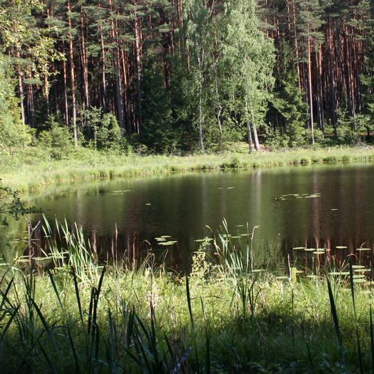 Tuchola Forest