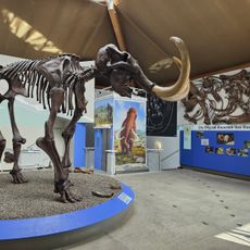 Südostbayerisches Naturkunde- und Mammut-Museum Siegsdorf