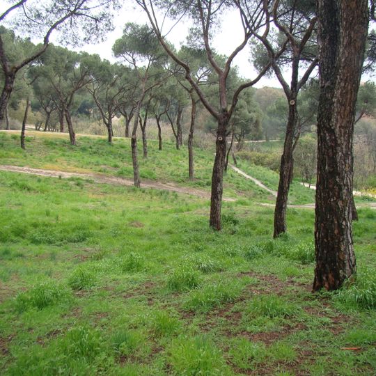 Dehesa de la Villa Park