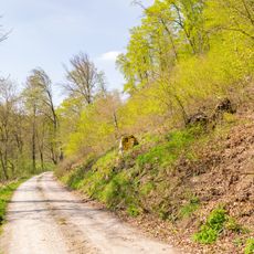 LSG-Buchenwaelder am Kukenberg und Stieltalsberg