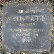 Naftalin Plattring