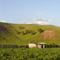 Leninogorsky District