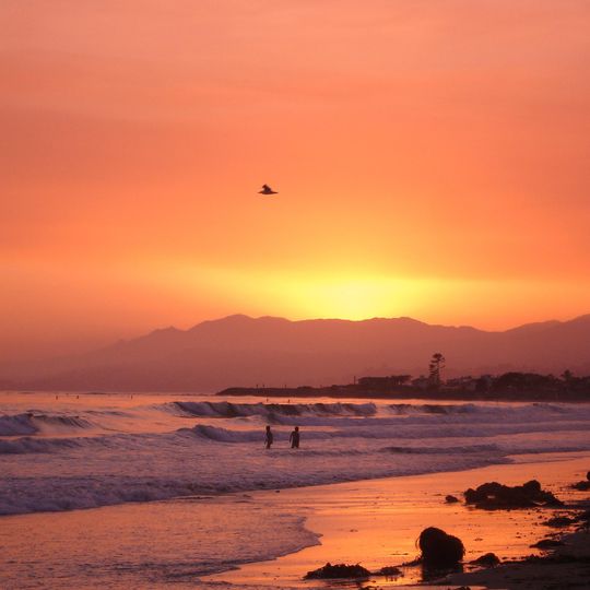 Carpinteria