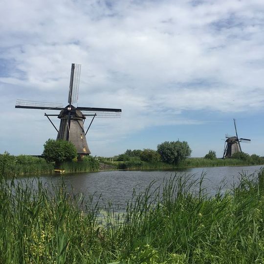 Kinderdijk