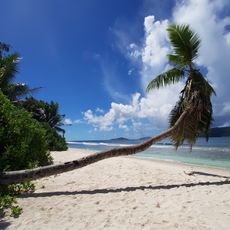 Anse Fourmis
