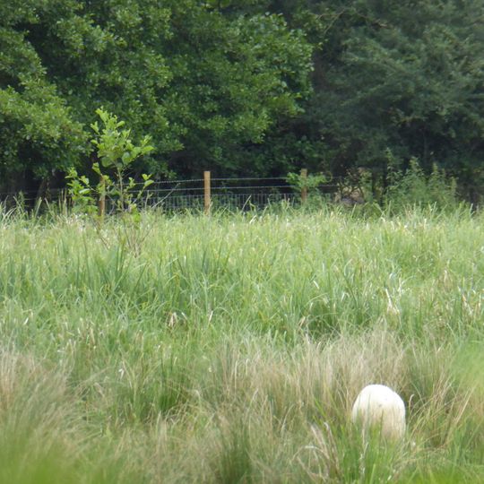 Gypsy Camp Meadows, Thrandeston