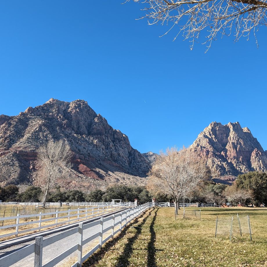 Chicken Ranch - Licensed brothel in Pahrump, Nevada, United States
