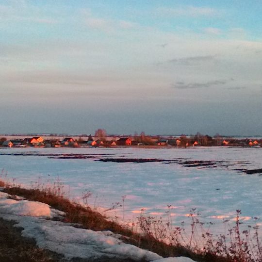 Salnikovo, Arzamassky District