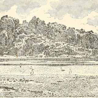 Clipperton Rock
