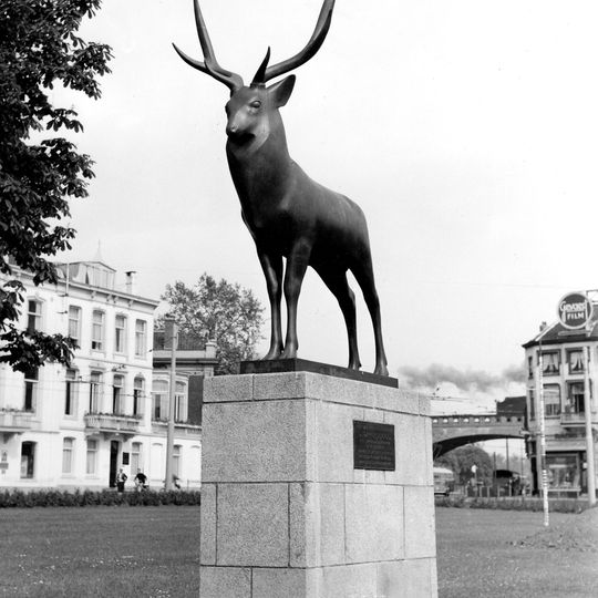 Stag of Pompon