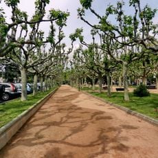 Jardins de Juli Garreta