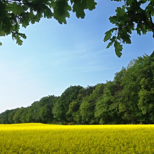 Waidbach und Fahrenholzer Holz