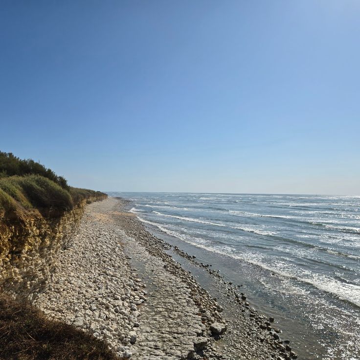 Przylądek Chassiron