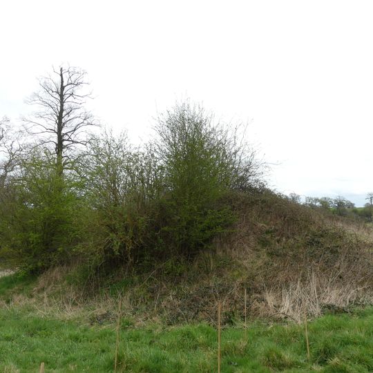 Motte and associated earthworks east of Old Rectory