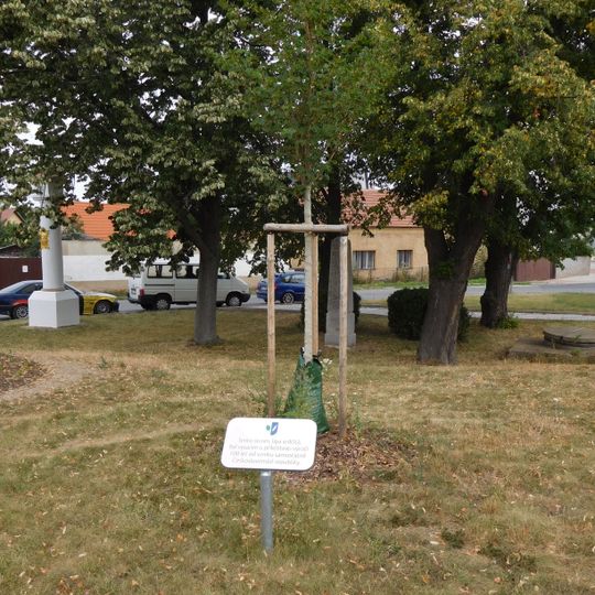 Republic Tilia in Písnice