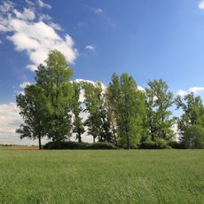 Flachmoor Engelshütte