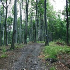 Königshainer Spitzberg;Spitzberg