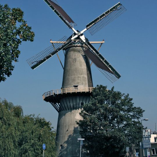 De Drie Koornbloemen