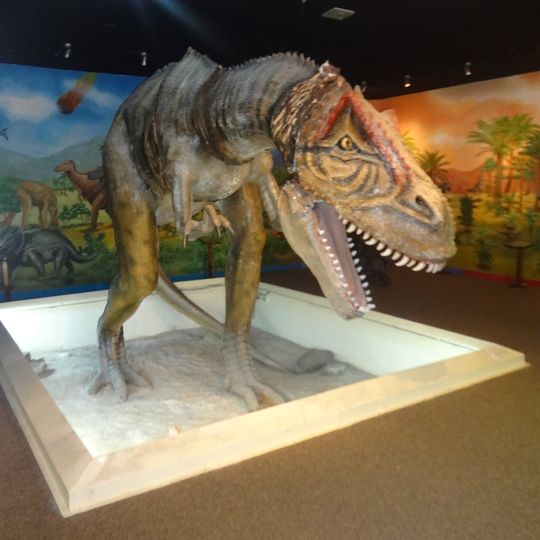Museo de Historia Natural Gustavo Orcés V.