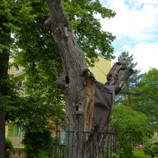 Alej v ulici Elišky Krásnohorské