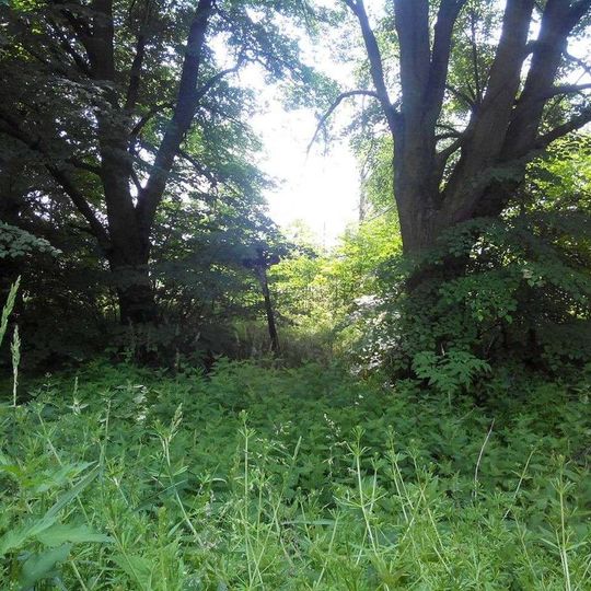 Kříž severně od Tomic u rozcestí