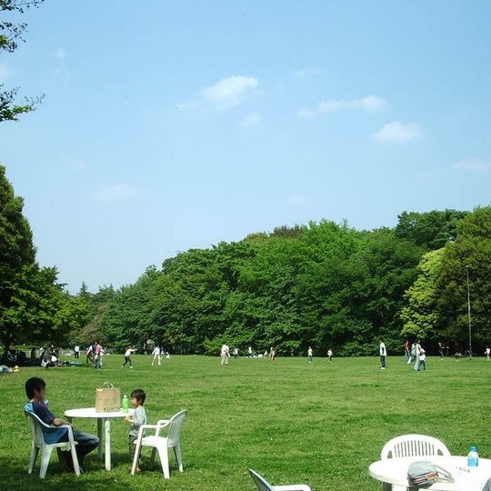 Kinuta Park