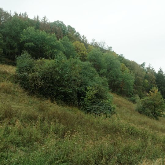 NSG Grosser und Kleiner Kranzberg